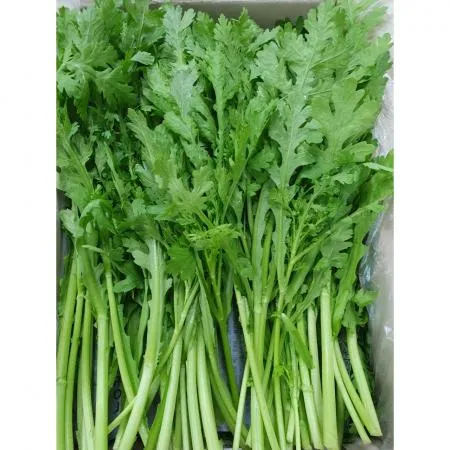 야채왕 쑥갓 4kg 박스 (3.8kg~4kg)-무료배송 이미지