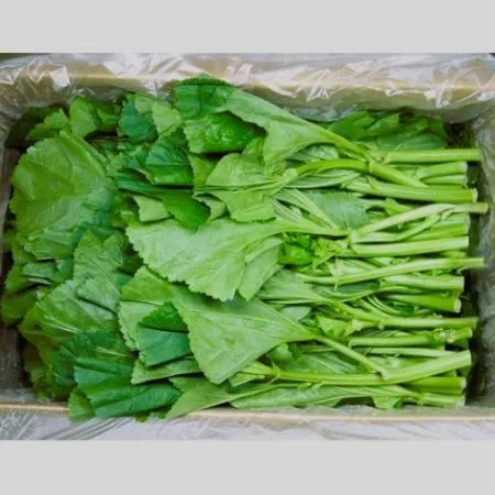 야채왕 아욱 4kg