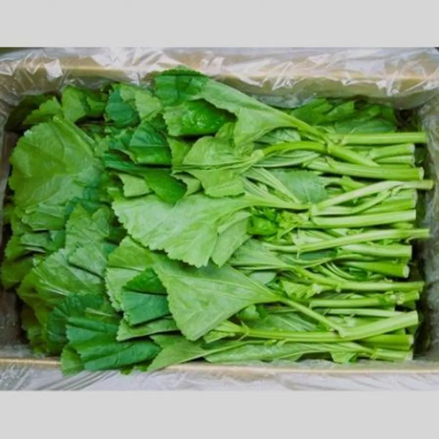 야채왕 아욱 4kg 이미지