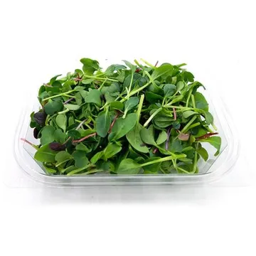 야채왕 베이비순 어린잎채소 50g 1팩