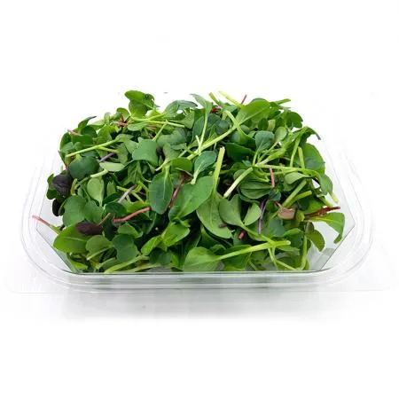 야채왕 베이비순 어린잎채소 50g 1팩