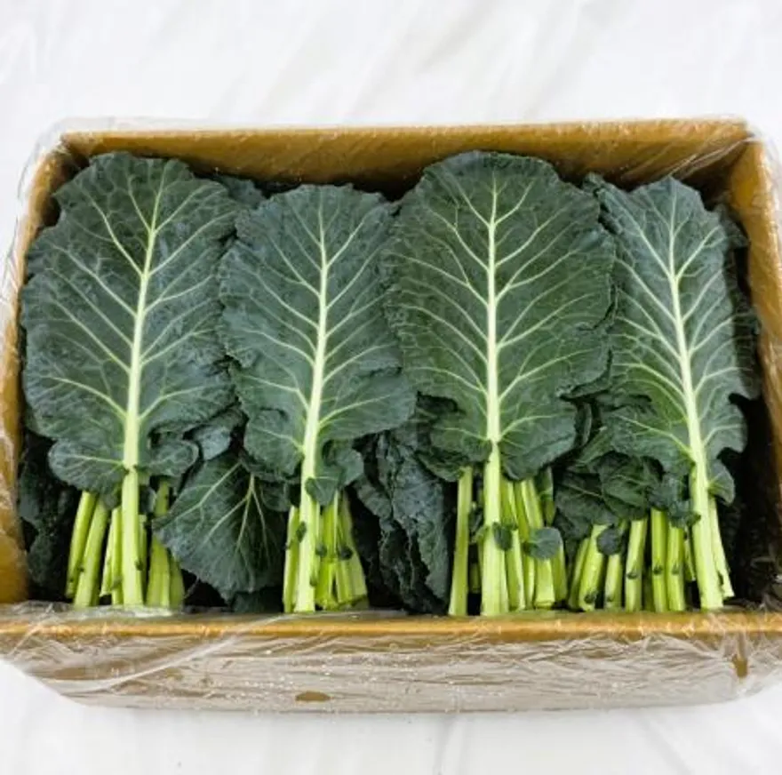 야채왕 쌈 케일 2kg (1.8kg~2kg) 박스 이미지