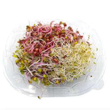 야채왕 새싹 모듬 1팩 500g