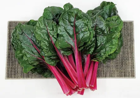 야채왕 적근대 100g