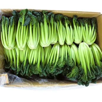 야채왕 비타민 채소 다채 2kg (1.8kg~2kg)박스 이미지