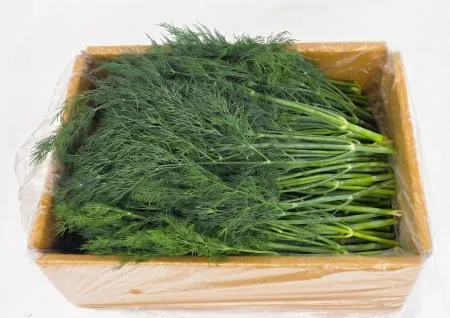 야채왕 허브딜 1kg