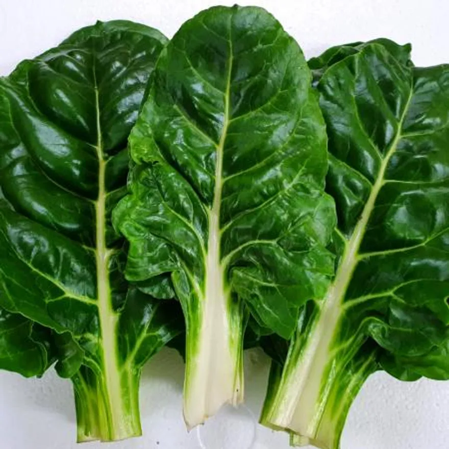 야채왕 근대 4kg 이미지