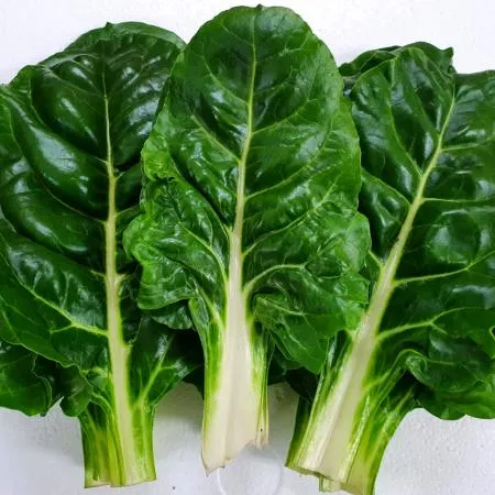야채왕 근대 4kg 이미지