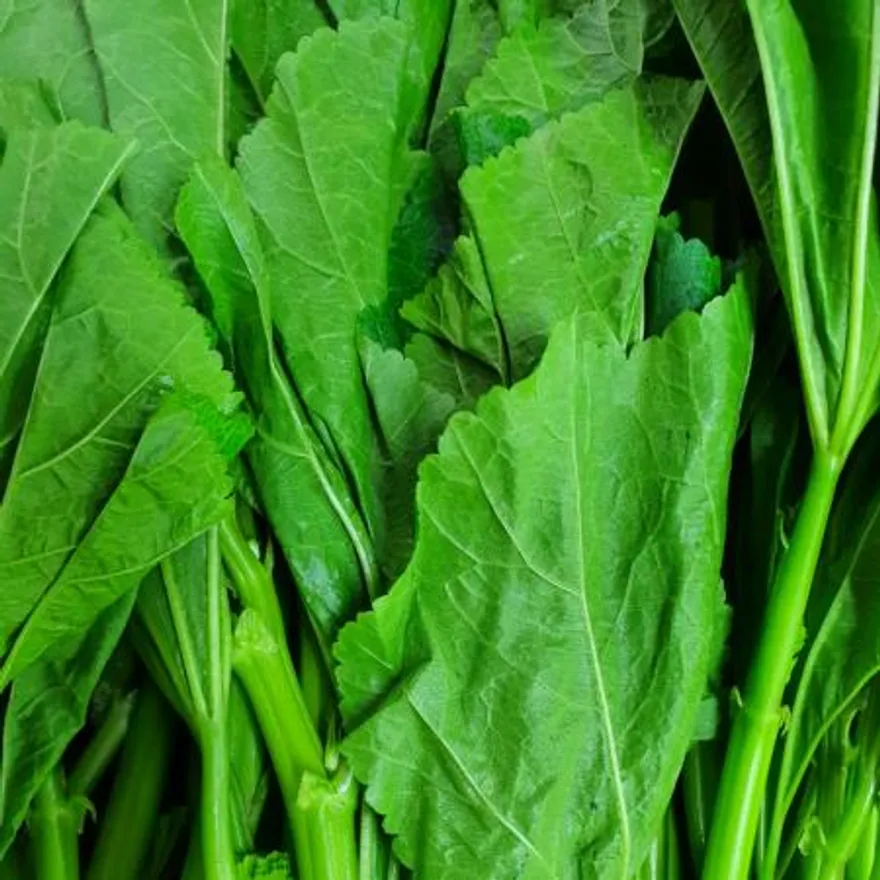 야채왕 아욱 4kg 이미지