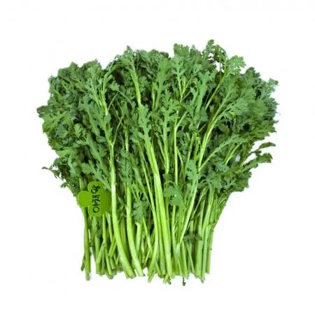 야채왕 쑥갓 1kg