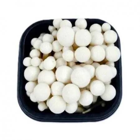 야채왕 백만송이버섯 10팩 박스(개당 약150g)