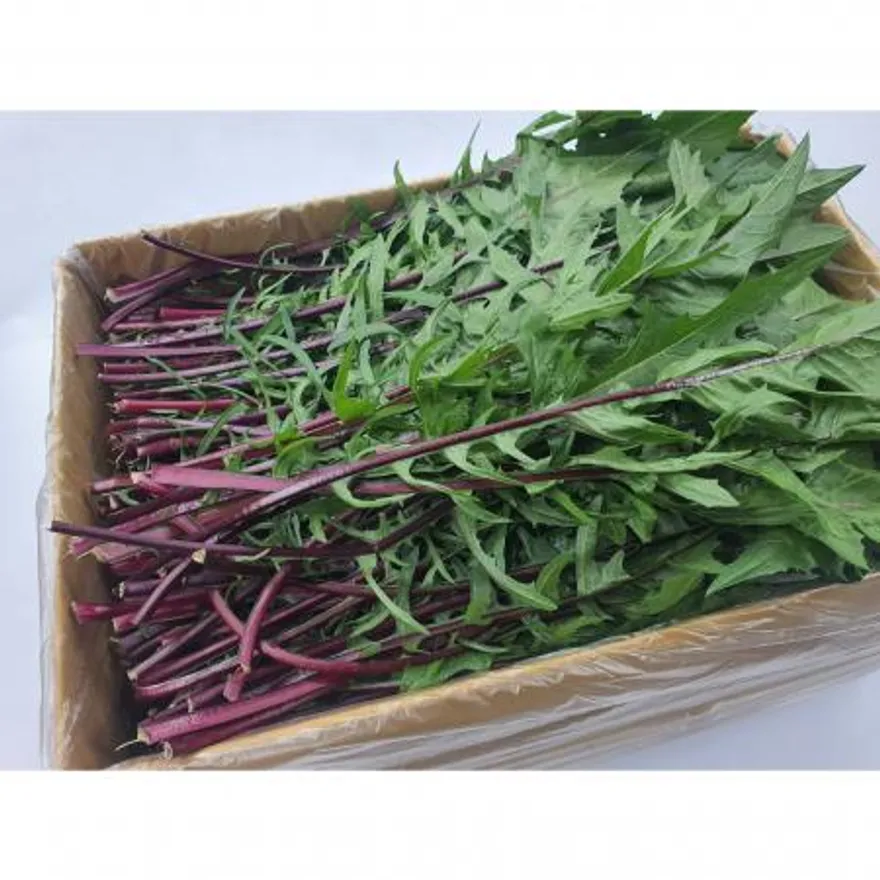 야채왕 적치커리 2kg(1.8kg~2kg) 박스 이미지