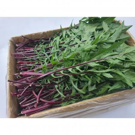 야채왕 적치커리 2kg(1.8kg~2kg) 박스 이미지