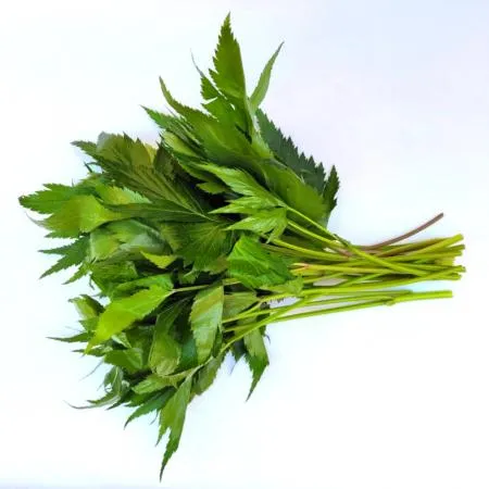 야채왕 당귀 당귀잎 100g