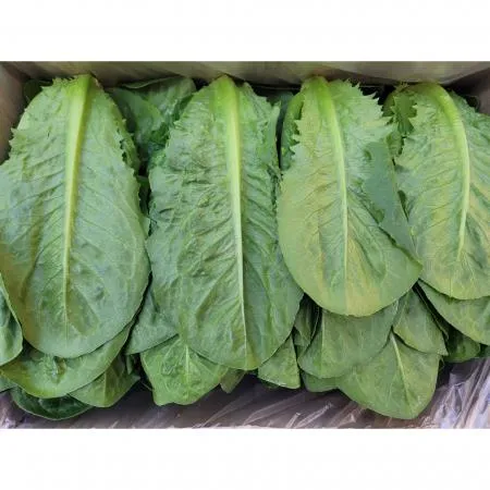 야채왕 통로메인 2kg (1.8kg~2kg) 박스