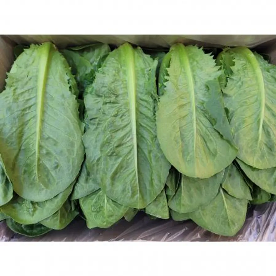 야채왕 통로메인 2kg (1.8kg~2kg) 박스 이미지