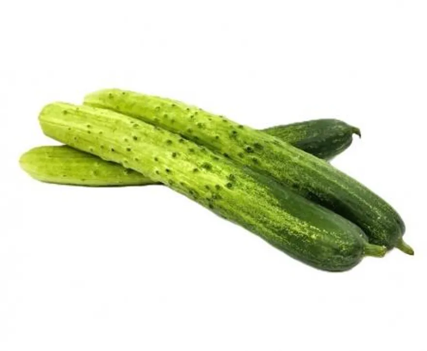 야채왕 백오이 2개 이미지