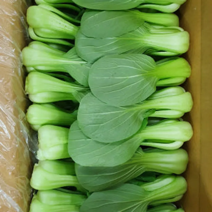 야채왕 청경채4kg (3.8kg~4kg) 박스 이미지