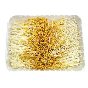 야채왕 황금메밀순 1팩(500g)