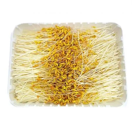 야채왕 황금메밀순 1팩(500g)