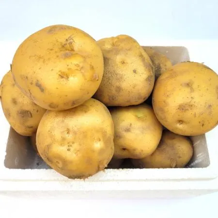 야채왕 감자 2개 이미지