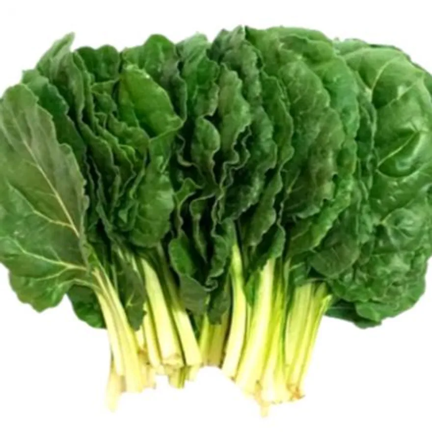야채왕 근대 4kg 이미지