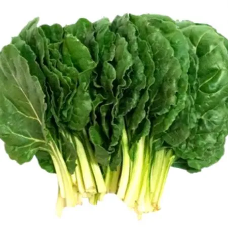 야채왕 근대 4kg 이미지