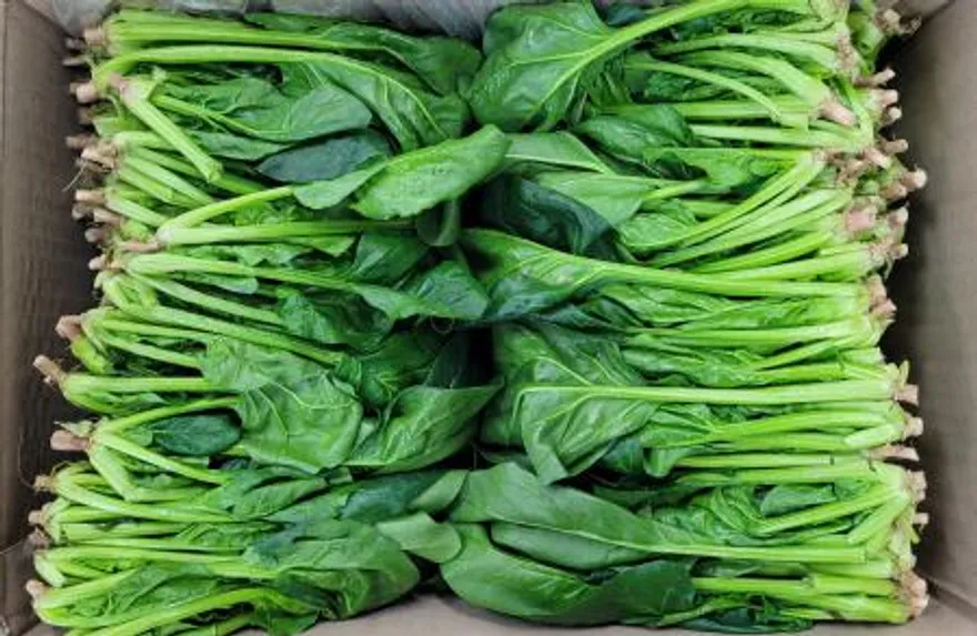 야채왕 싱싱한 시금치 4kg 박스 (3.8kg~4kg) 무료배송 이미지