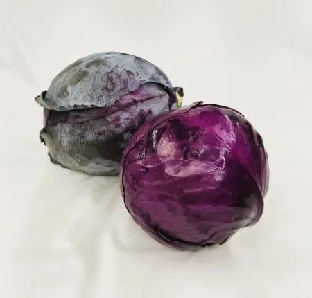 야채왕 적채 1통