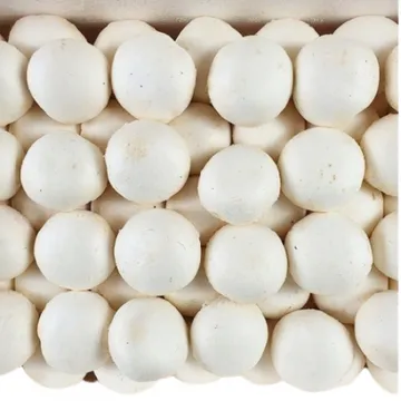 야채왕 양송이버섯 1박스