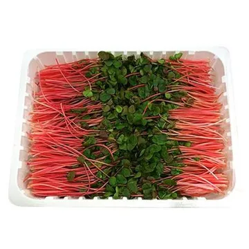 야채왕 적메밀순 1팩(500g)