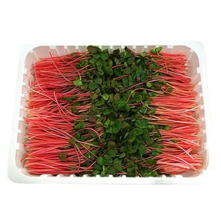 야채왕 적메밀순 1팩(500g)