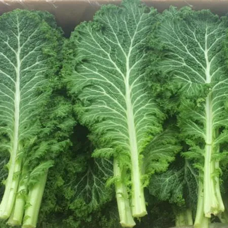야채왕 청겨자잎 2kg (1.8kg~2kg)