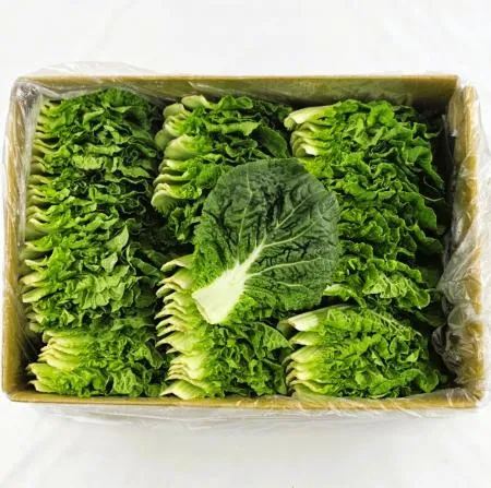 야채왕 쌈추 쌈배추 1kg(0.9kg~1kg) 박스 이미지