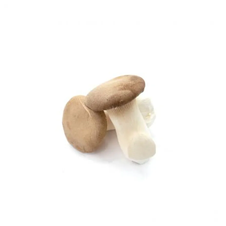 야채왕 새송이버섯 500g 이미지