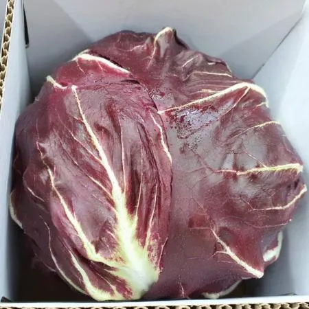 야채왕 라디치오 1통(약220~450g)