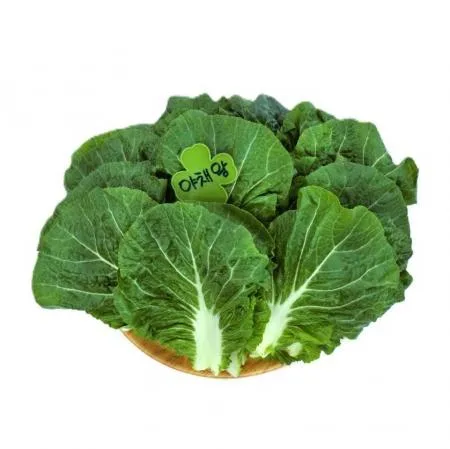 야채왕 쌈추 쌈배추 1kg(0.9kg~1kg) 박스 이미지