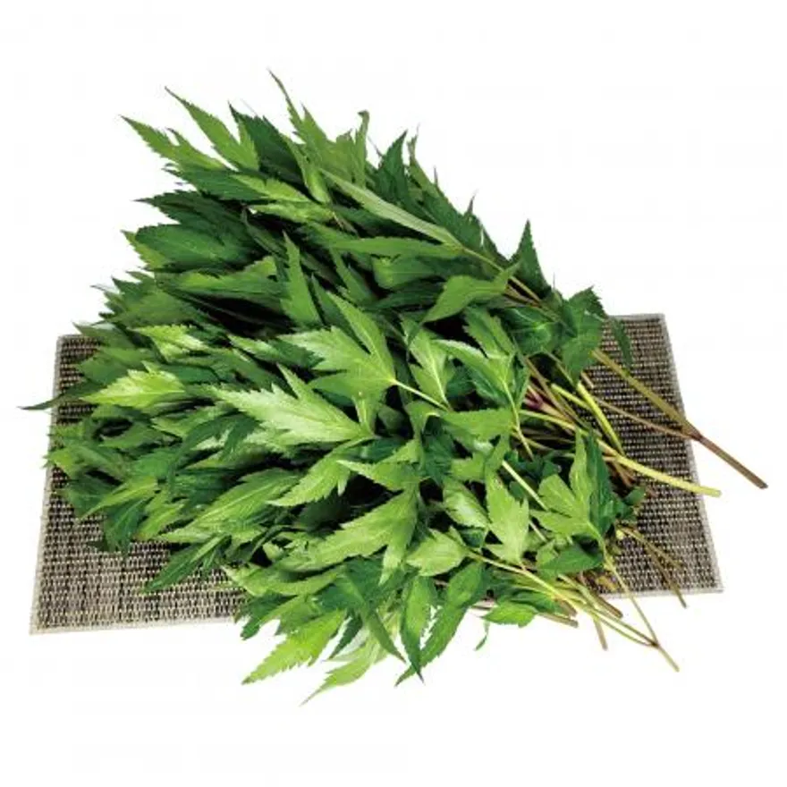야채왕 당귀 당귀잎 1kg (0.9kg~1kg) 박스 이미지