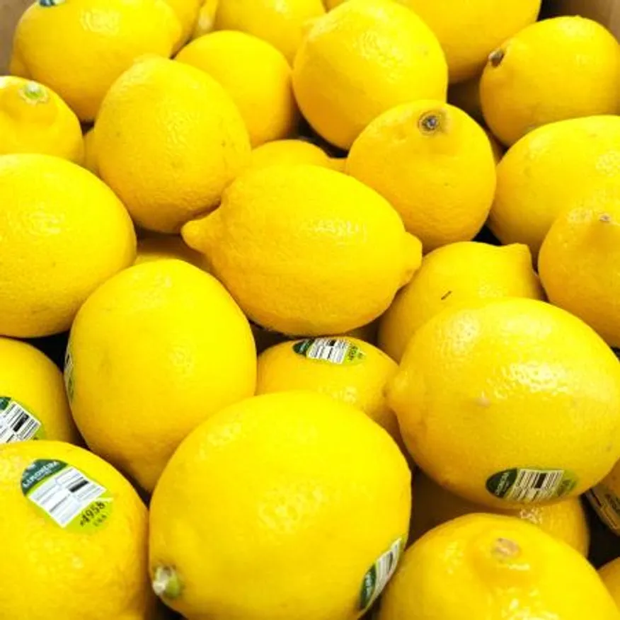 야채왕 레몬 10개 이미지