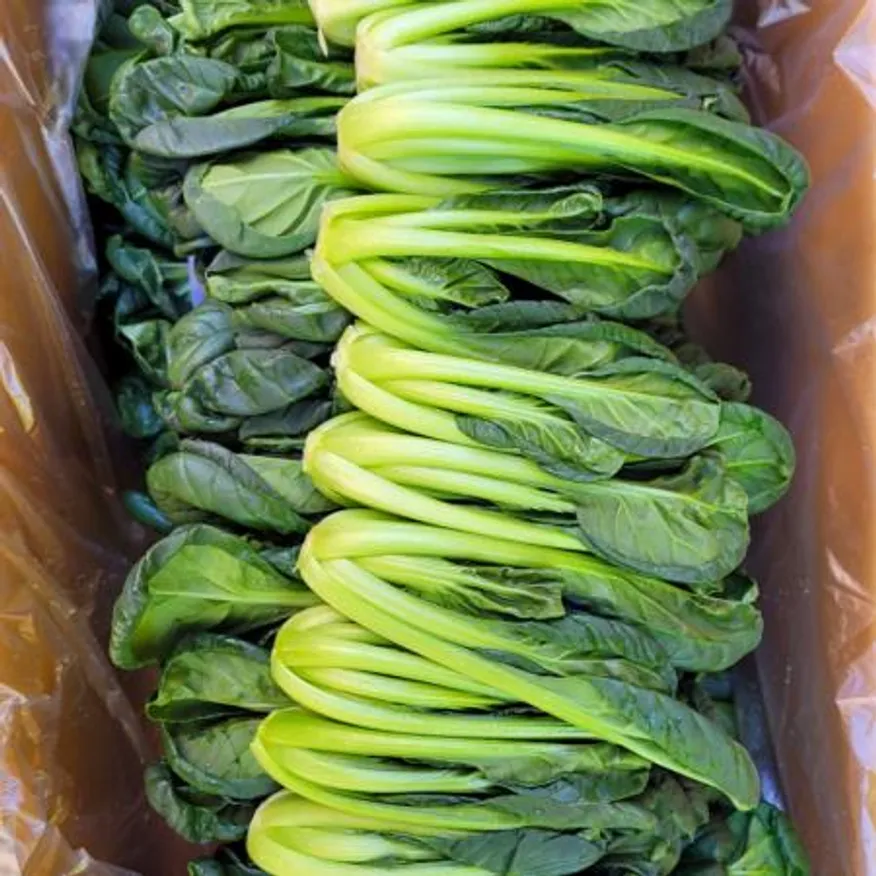 야채왕 비타민 채소 다채 2kg (1.8kg~2kg)박스 이미지