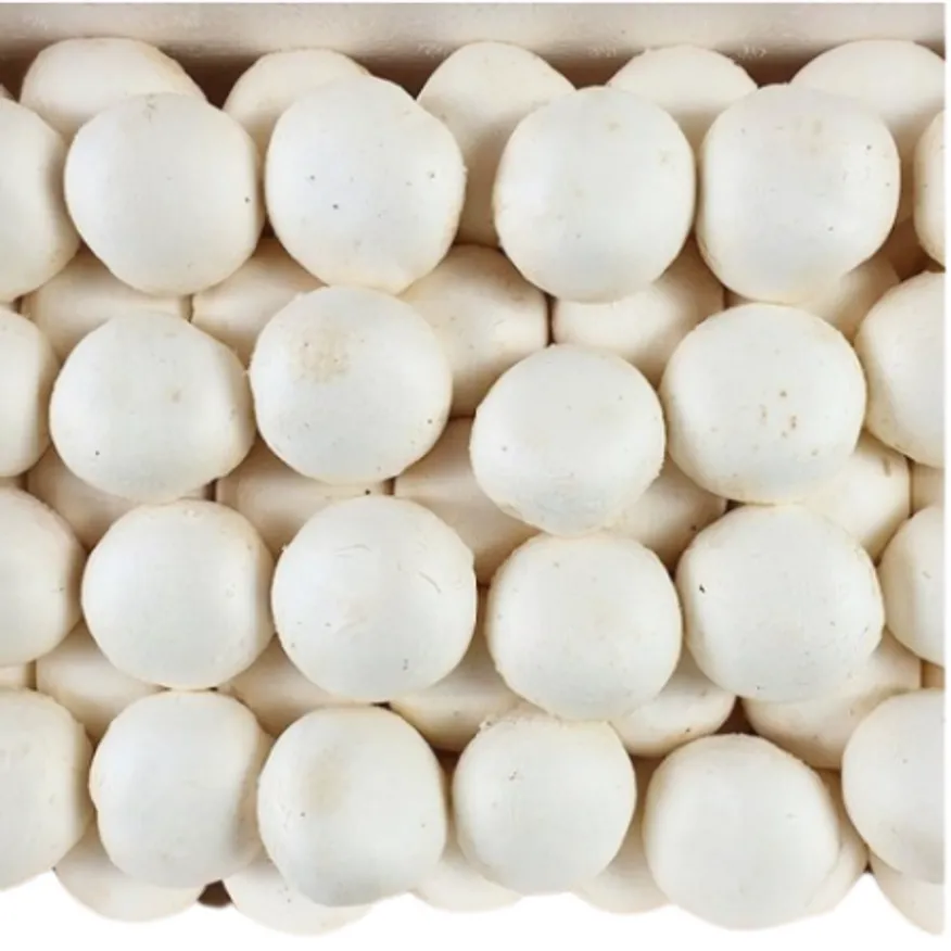 야채왕 양송이버섯 500g 이미지