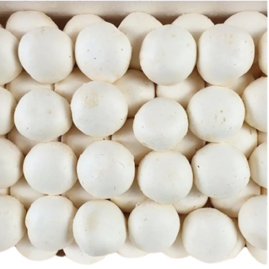 야채왕 양송이버섯 500g 이미지