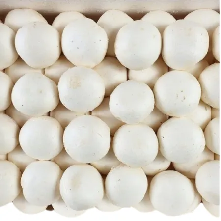 야채왕 양송이버섯 500g 이미지