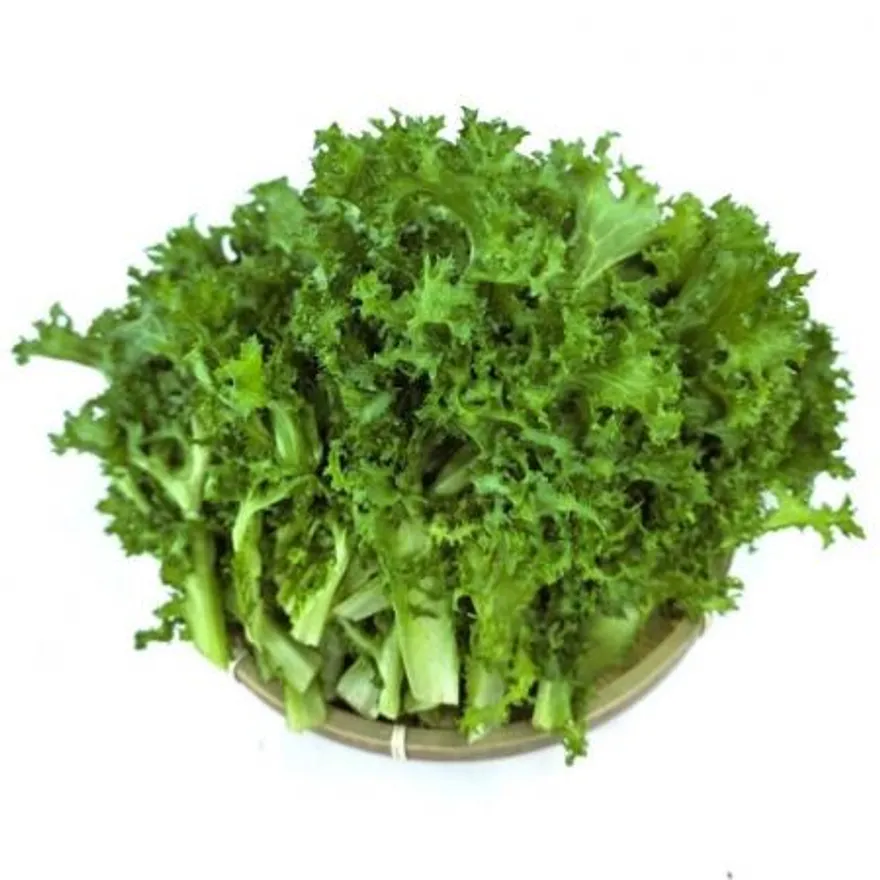야채왕 치커리 1kg 이미지