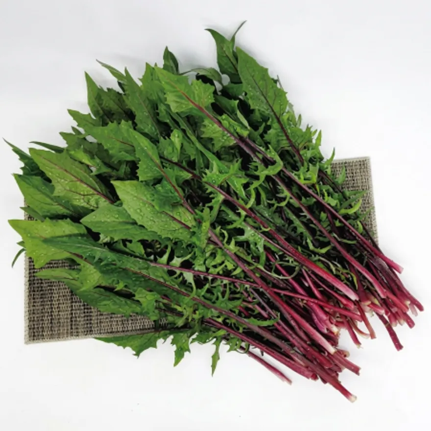 야채왕 적치커리 2kg(1.8kg~2kg) 박스 이미지