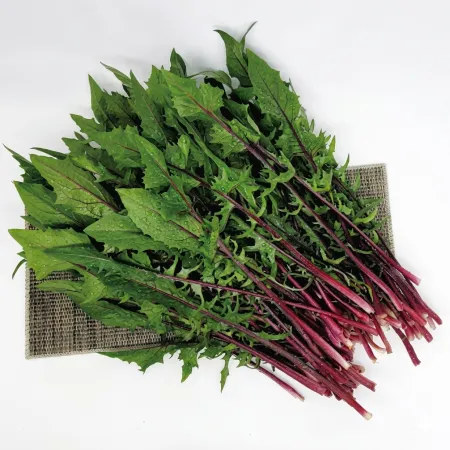 야채왕 적치커리 2kg(1.8kg~2kg) 박스 이미지