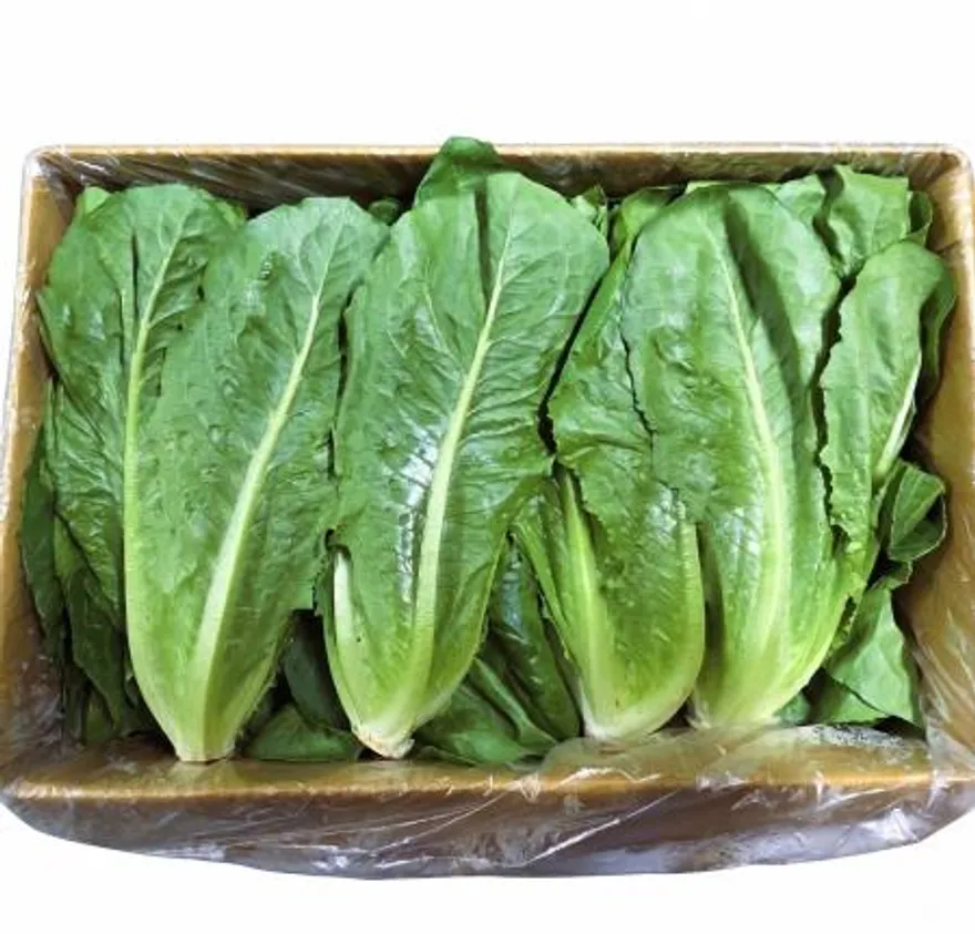 야채왕 통로메인 2kg (1.8kg~2kg) 박스 이미지