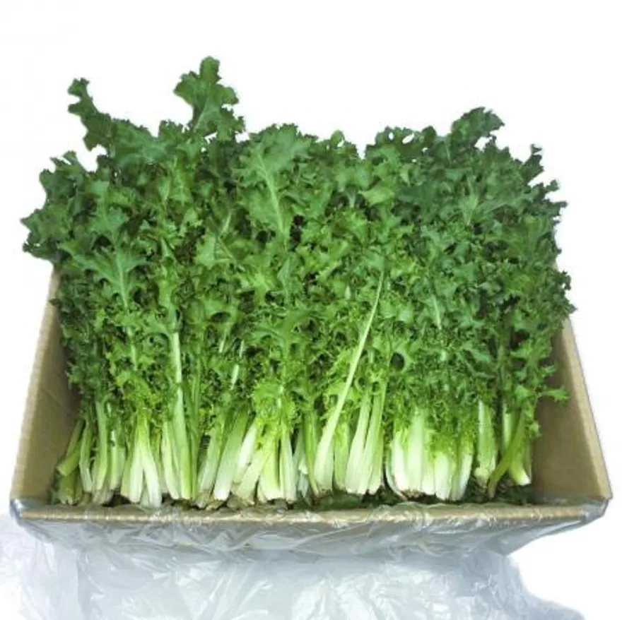 야채왕 치커리 2kg (1.8kg~2kg) 박스 이미지