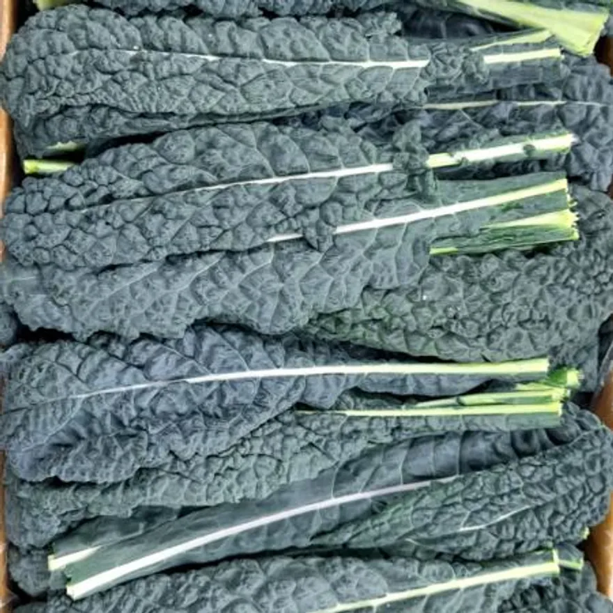 야채왕 뉴그린 2kg 잎브로콜리 토스카노(1.8kg~2kg) 박스 이미지