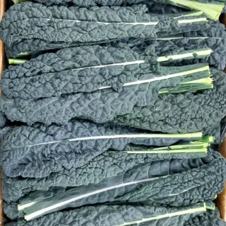 야채왕 뉴그린 2kg 잎브로콜리 토스카노(1.8kg~2kg) 박스 이미지